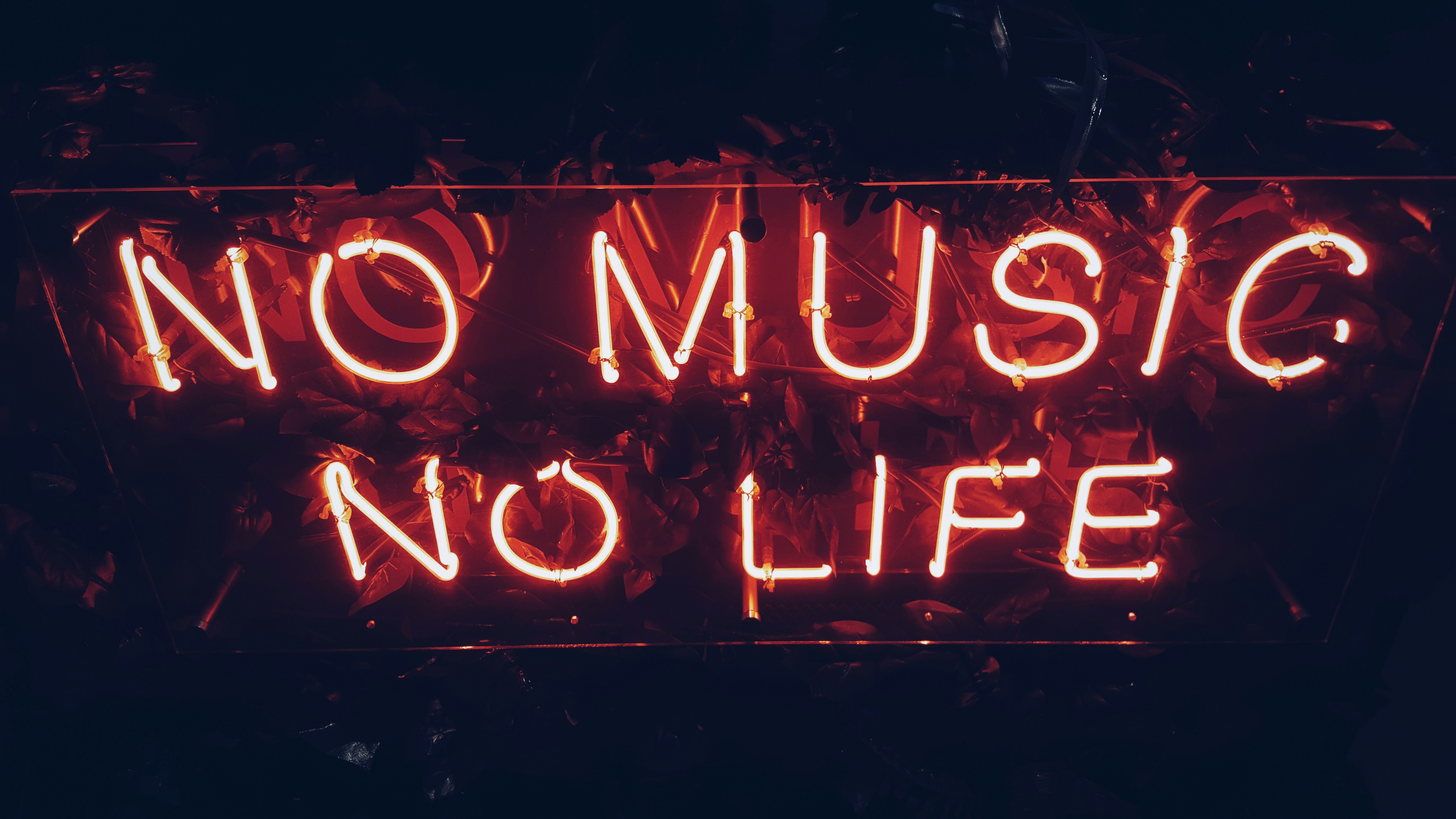 Schriftzug "No Music, No Life"