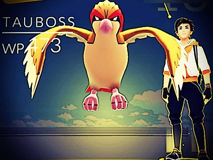 Arena in Pokémon GO